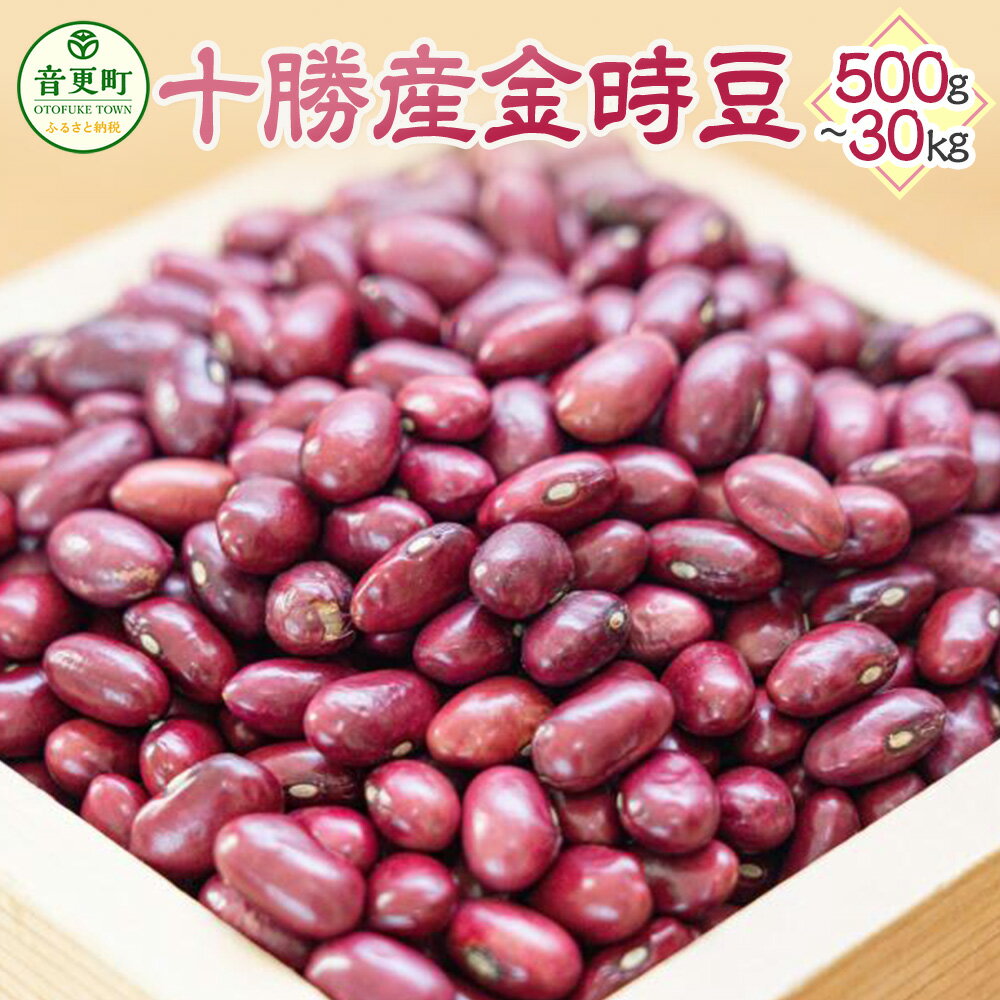 [令和6年産] 「JAおとふけ」金時豆 [選べる容量] 500g 1kg 2kg 5kg 10kg 30kg 金時豆 きんときまめ 豆 お豆 まめ 生豆 料理 食物繊維 ポリフェノール 十勝 常温 北海道 音更町 送料無料
