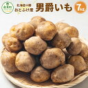 【ふるさと納税】【先行受付】 おとふけ産男爵いも 7kg 【2025年10月上旬頃より順次発送】男爵イモ じゃがいも ジャガイモ いも 芋 イモ お芋 根菜 や...