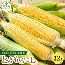 【ふるさと納税】【先行受付】おとふけ産とうもろこし 12本【2025年8月上旬頃より順次発送】 トウモロコシ コーン 野菜 やさい 十勝 冷蔵 北海道 音更町 ...