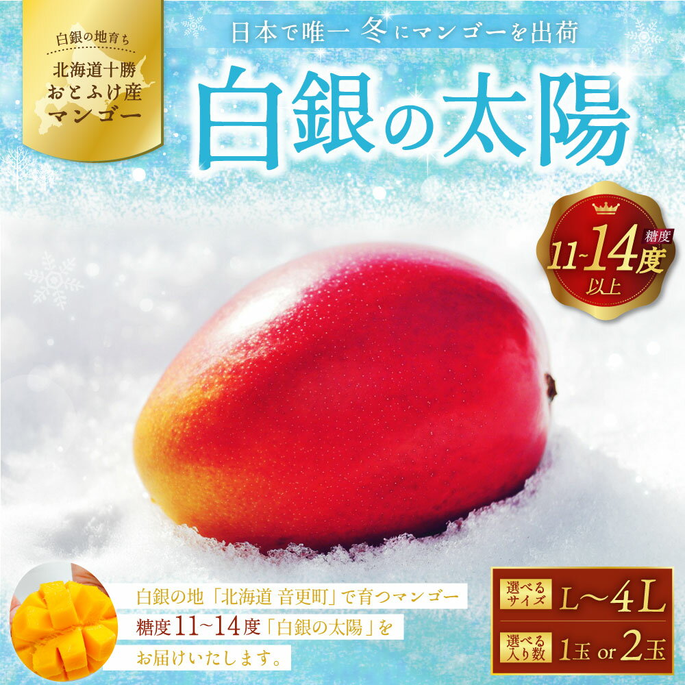 【ふるさと納税】【先行受付】おとふけ産マンゴー「白銀の太陽」＜選べるサイズ・入り数＞ Lサイズ×1玉～2玉／ 2Lサイズ×1玉～2玉／ 4Lサイズ×1玉～2玉【2025年11月上旬より発送開始予定】完熟マンゴー マンゴー 糖度11度以上 北海道 音更町
