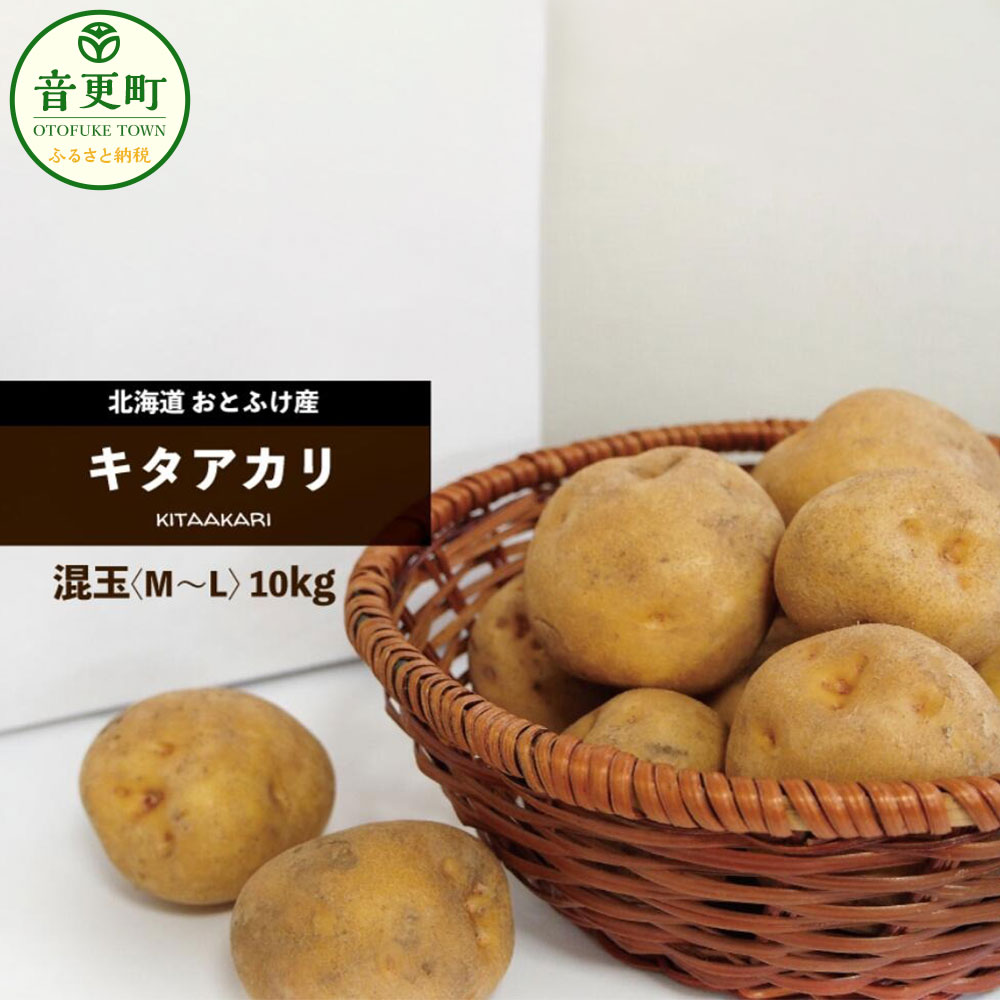 【ふるさと納税】【先行受付】 おとふけ産じゃがいも「キタアカリ」 10kg （M〜Lサイズ） きたあかり ...