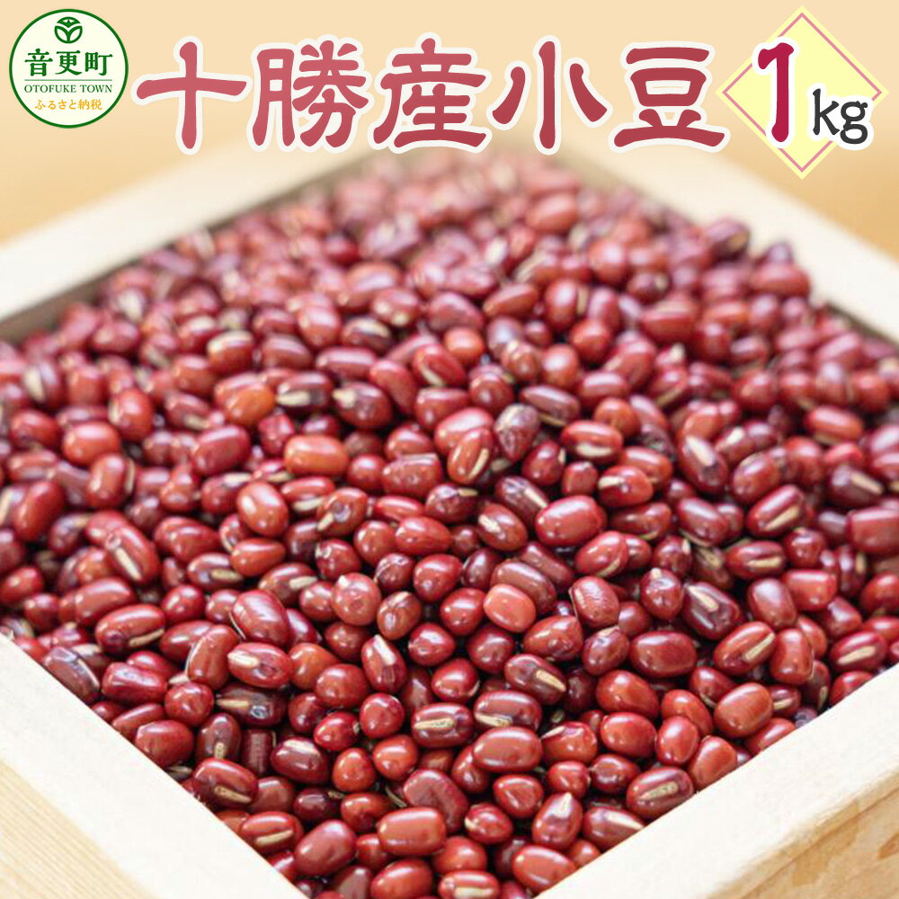 【ふるさと納税】おとふけ産小豆1kg（送料無料 ふるさと納税 ランキング お買い物マラソン スーパーSALE　スーパーセール 北海道 小豆 大豆 黒豆 金時豆 十勝）のサムネイル