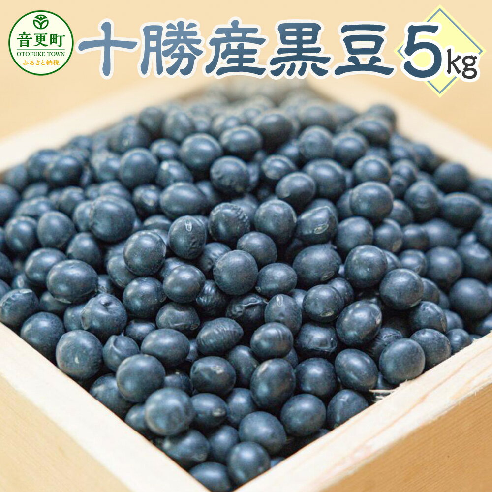 【ふるさと納税】おとふけ産黒豆5kg（送料無料 ふるさと納税 ランキング お買い物マラソン スーパーSALE　スーパーセール 北海道 小豆 大豆 黒豆 金時豆 十勝）のサムネイル