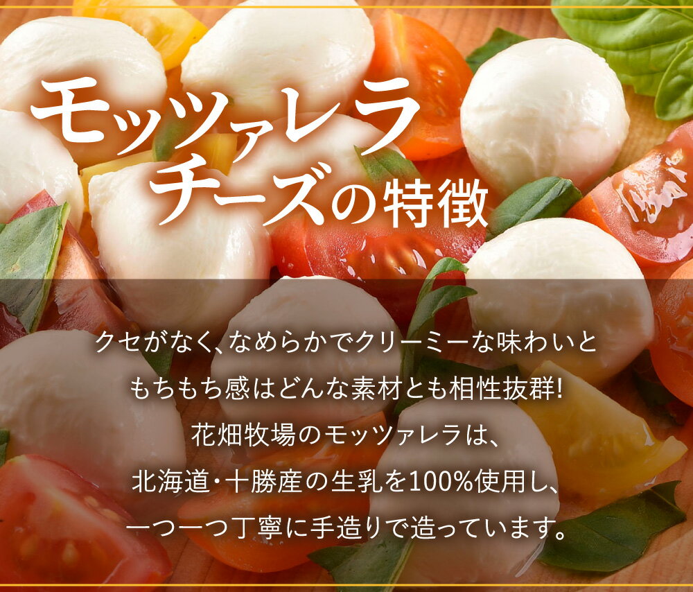 �ڤդ뤵��Ǽ�ǡ۲�Ȫ�Ҿ� �ҤȤ�����åĥ���� �ץ졼�� 4������20�ܡ�A89�۹��80�� ���480g ��åĥ��������� ������ ��åĥ���� ����100% ������ �ѥ��� �ԥ� ���� ���Ĥޤ� �ռ� ���� �����ѥå� ��¢ �̳�ƻ ����Į ����̵��