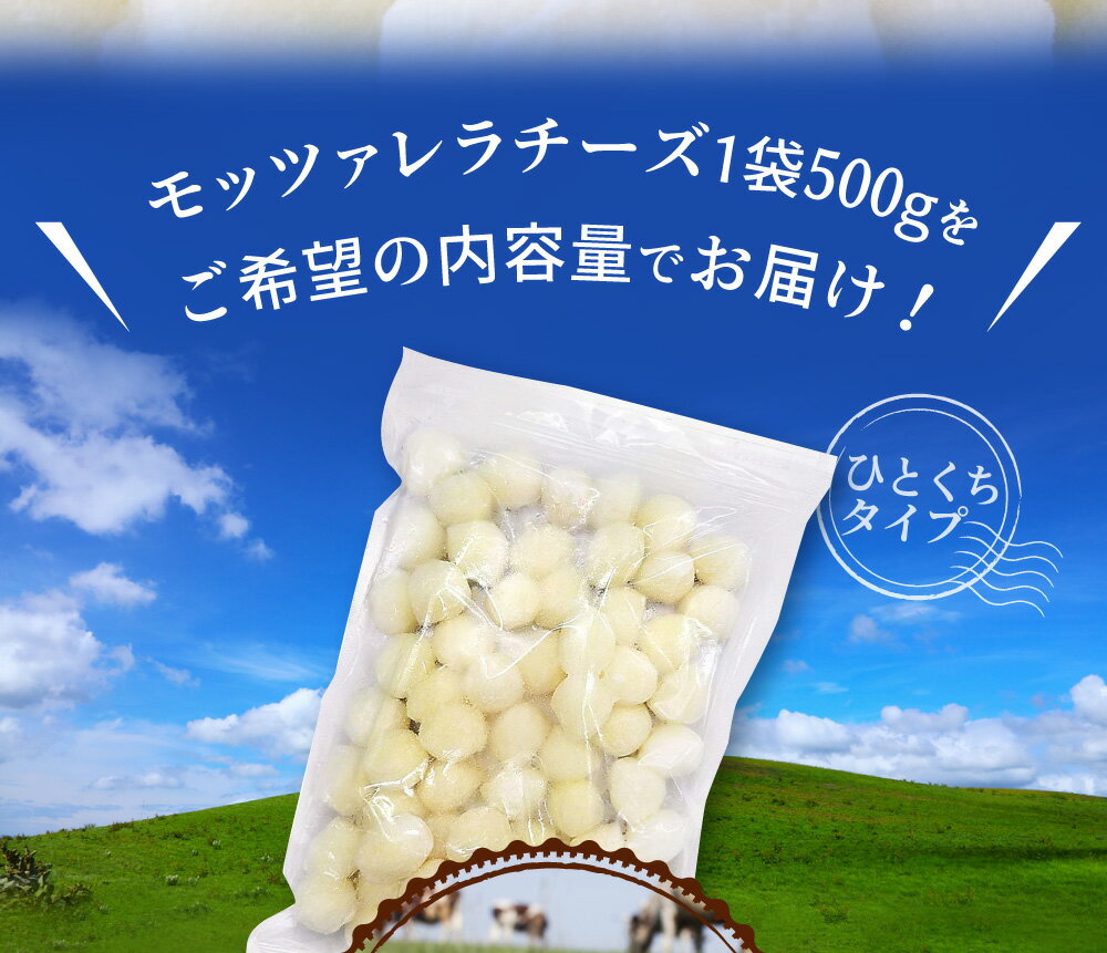 �ڤդ뤵��Ǽ�ǡ۲�Ȫ�Ҿ� ��åĥ����������ҤȤ��������� �����٤������̡���500g����500g��1�ޡˡ� ��1kg����500g��2�ޡˡ���1.5kg����500g��3�ޡˡ�B94�ۥ�åĥ��������� ������ ��åĥ���� ����100% ������ ���� ����