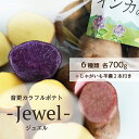 【ふるさと納税】《先行受付》音更カラフルポテト -Jewel- ( インカのめざめ・インカのひとみ・とうや・ノーザンルビー・シャドークイーン・さやあかね 各700g・じゃがいも羊羹 2本付き )【A129】 野菜 ジャガイモ じゃがいも ようかん《2025年12月上旬頃より順次発送》