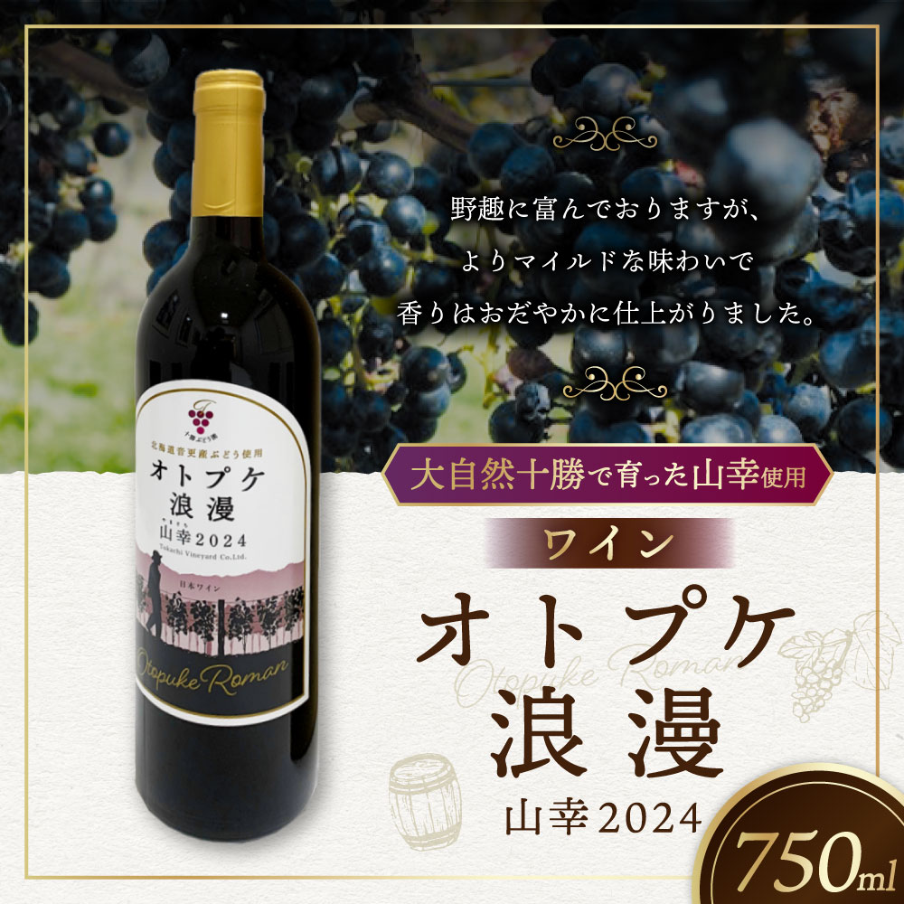 北海道音更町の画像2