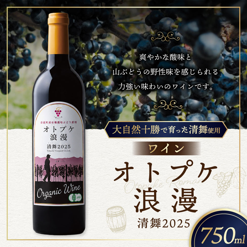 【ふるさと納税】【11日程度で発送予定】オトプケ浪漫清舞2025 【C99】 750ml×1本 ワイン 赤ワイン お酒 飲料 飲酒 アルコール ぶどう ブドウ 葡萄 晩酌 家飲み 宅飲み 北海道 音更町 送料無料 f016314-otofuke-10000437 北海道音更町 サンプル画像2