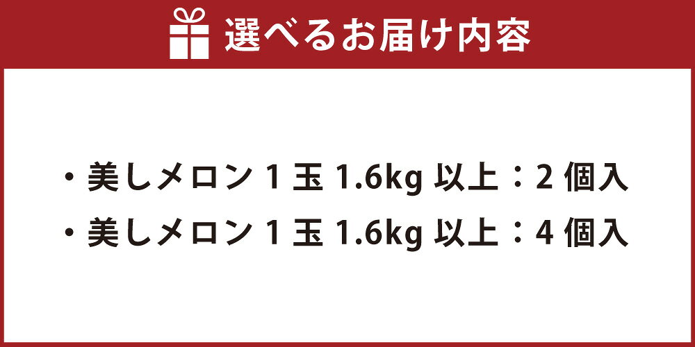 【ふるさと納税】＜選べる内容量＞美しメロン 1玉1.6kg以上 2個入 / 4個入 メロン めろん フルーツ くだもの 果物 果実 デザート 北海道産 国産 北海道 音更町 送料無料 【2026年7月上旬～8月下旬発送予定】
