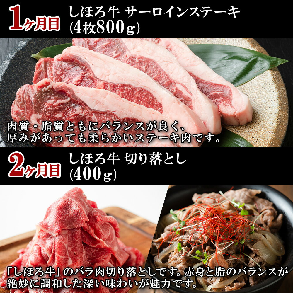 【ふるさと納税】■定期便■ 北海道 しほろ牛 定期便 全5回 牛肉 サーロイン ステーキ リブロース 切り落とし ローストビーフ 肉 牛 赤身肉 国産牛 肉 ビーフ 牛肉 冷凍 お惣菜 焼肉 頒布会 送料無料 十勝 士幌町 100000円