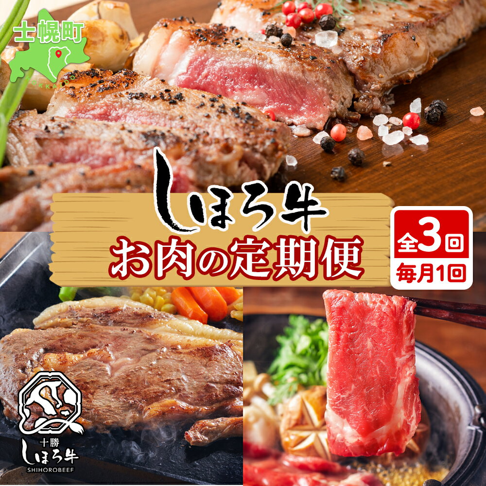 【ふるさと納税】 定期便 北海道 しほろ牛 定期便 全3回 牛肉 サーロイン ステーキ リブロース 肉 牛 赤身肉 国産牛 肉 ビーフ 牛肉 焼肉 冷凍 お取り寄せ 頒布会 送料無料 十勝 士幌町 72000円