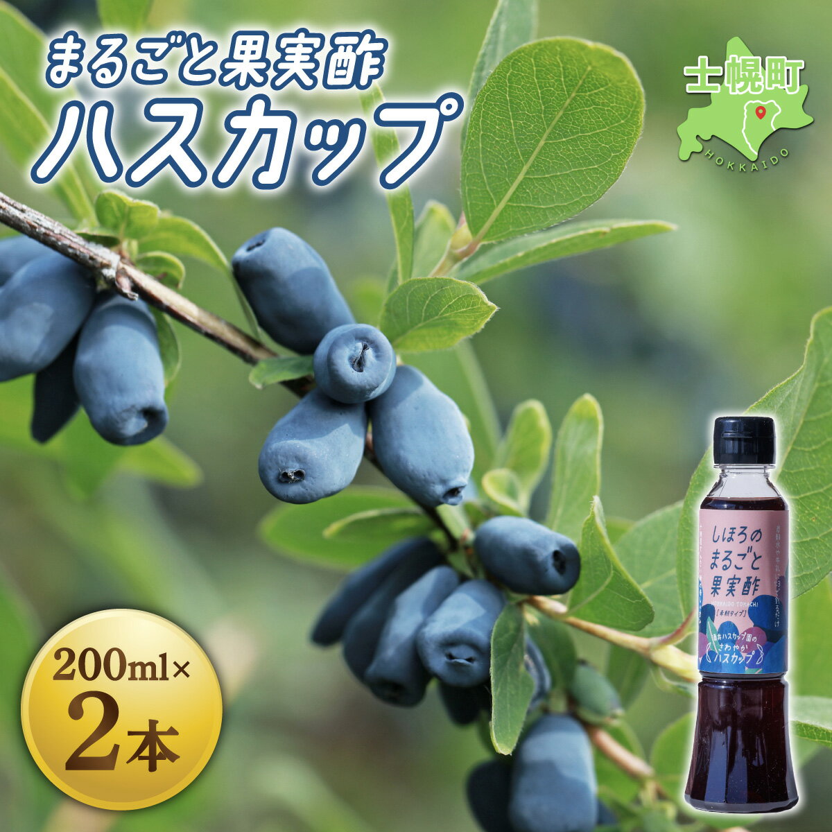北海道産 果実酢 ハスカップ ビネガー 200ml × 2本 国産 健康 健康食品 栄養 栄養価 朝食 スイーツ デザート 酒 お酒 割材 詰合せ お取り寄せ 送料無料 十勝 士幌町 11000円