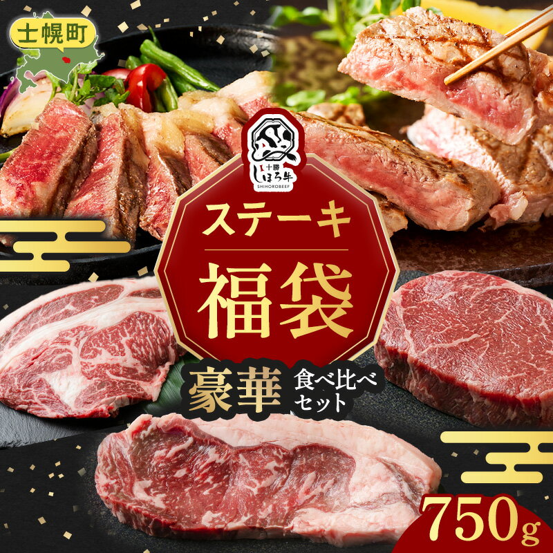 [12月31日までの受付] 北海道 豪華 しほろ牛 ステーキ 食べ比べ 福袋 しほろ牛 サーロイン リブロース フィレ 牛肉 肉 詰め合わせ セット お取り寄せ 道の駅 ピア21しほろ 送料無料 十勝 士幌町 35000円