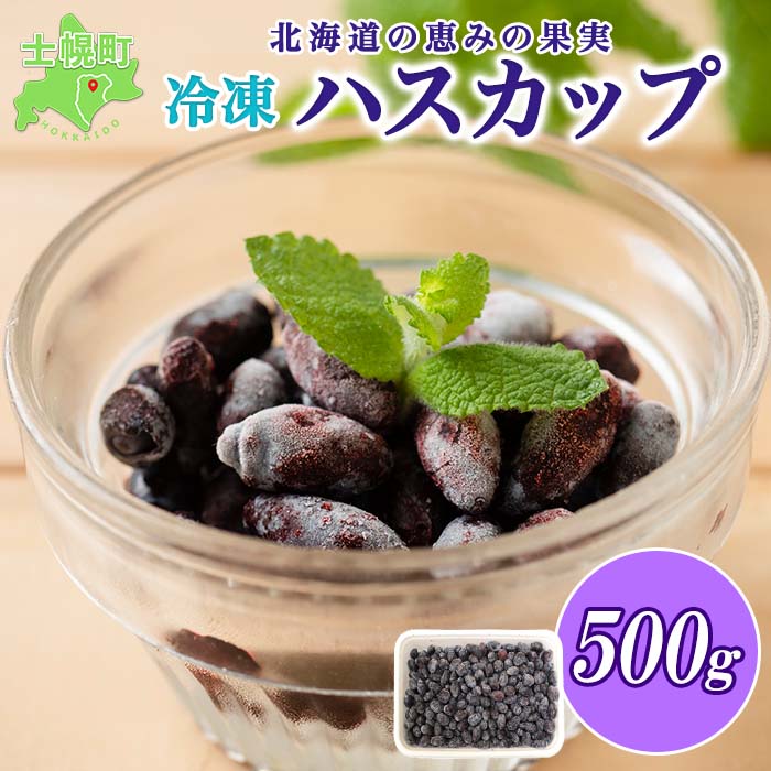 【ふるさと納税】北海道 士幌産 冷凍 ハスカップ 500g ベリー 果実 フルーツ お取り寄せ 送料無料 十勝 士幌町 7000円