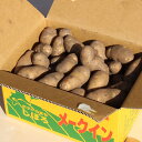 【ふるさと納税】じゃがいも(メークイン)10kg《2020年...