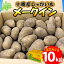 【ふるさと納税】じゃがいも いも メークイン 北海道 10kg 北海道産 十勝産 ジャガイモ 芋 いも ポテト お取り寄せ まとめ買い 送料無料 十勝 士幌町 10000円 10,000円