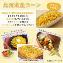 【ふるさと納税】フライドポテト ポテト とうもろこし コーン 冷凍食品 詰め合わせ セット 北海道 国産 じゃがいも トウモロコシ お弁当 冷凍食品 おつまみ パーティ 家飲み おかず まとめ買い ギフト プチギフト 訳あり 送料無料 十勝 士幌町 7000円 3