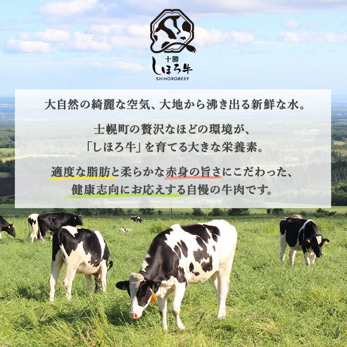 【ふるさと納税】牛肉 国産 北海道 しほろ牛 切り落とし スライス 400g×2 計800g BBQ 焼肉 ブランド牛 牛 赤身肉 国産牛 肉 ビーフ セット 焼き肉 肉じゃが すき焼き 冷凍 詰合せ お取り寄せ 送料無料 十勝 士幌町 17000円