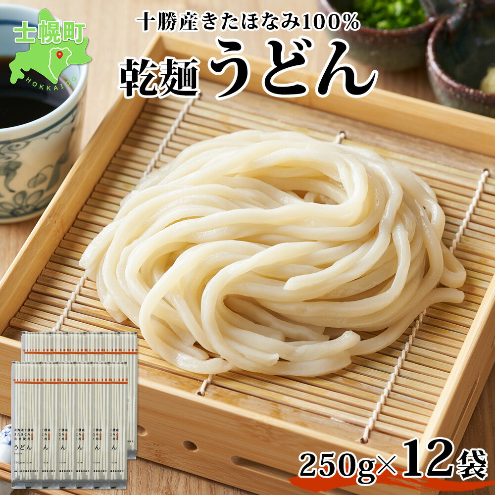 北海道 十勝産 うどん 250g×12袋 2-3人前 乾麺 干しうどん 麺 めん きたほなみ 小麦使用 小分け 個包装 保存 詰め合わせ 備蓄 贈り物 ギフト お取り寄せ 送料無料 北海道 十勝 士幌町 12000円