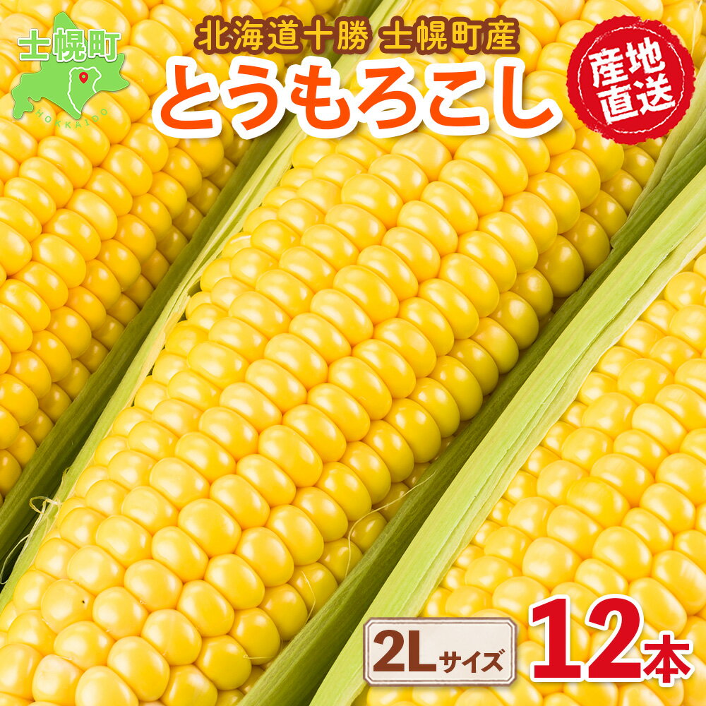 【ふるさと納税】《期間限定》北海道 士幌産 とうもろこし 2Lサイズ 12本 (2022年8月中旬～発送開始予定) 約5kg スイートコーン 採れたて コーン 期間限定 新鮮 野菜 産地直送 産直 お取り寄せ 送料無料 十勝 士幌町 8000円のサムネイル