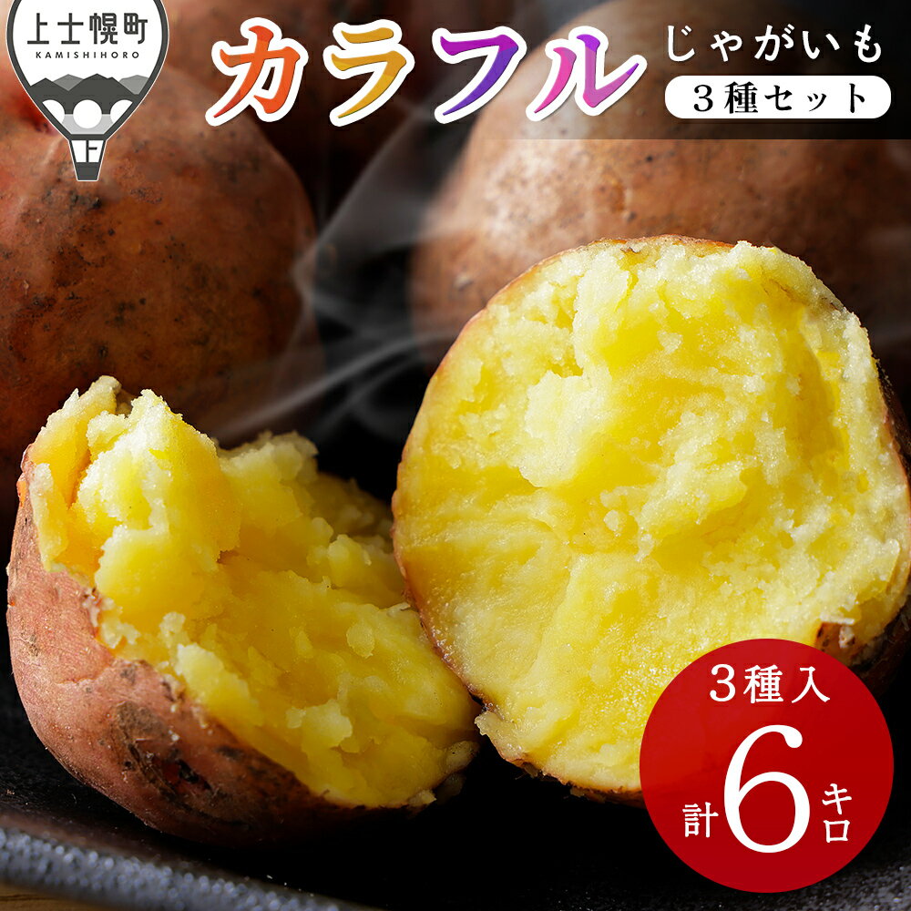 【ふるさと納税】北海道産 カラフル じゃがいも 3種セット 計6kg(2kg×3種) 北海道 上士幌町 加藤農場 野菜 馬鈴薯 詰め合わせ 産地直送 おすそ分け レビューキャンペーン対象品 ◆2025年12月配送予定 ※オンライン申請対応