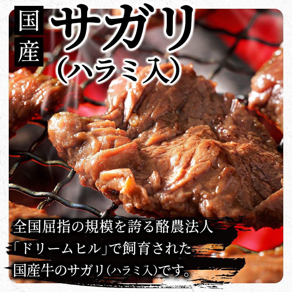 【ふるさと納税】国産 味付き サガリ ハラミ 焼肉 500g～1kg パック数が選べる 小分け 個包装 北海道 牛 肉 牛肉 キャンプ アウトドア バーベキュー BBQ 冷凍 ドリームヒル 冷凍 発送時期が選べる f016331-kamishihoro-10000554 北海道上士幌町 サンプル画像2