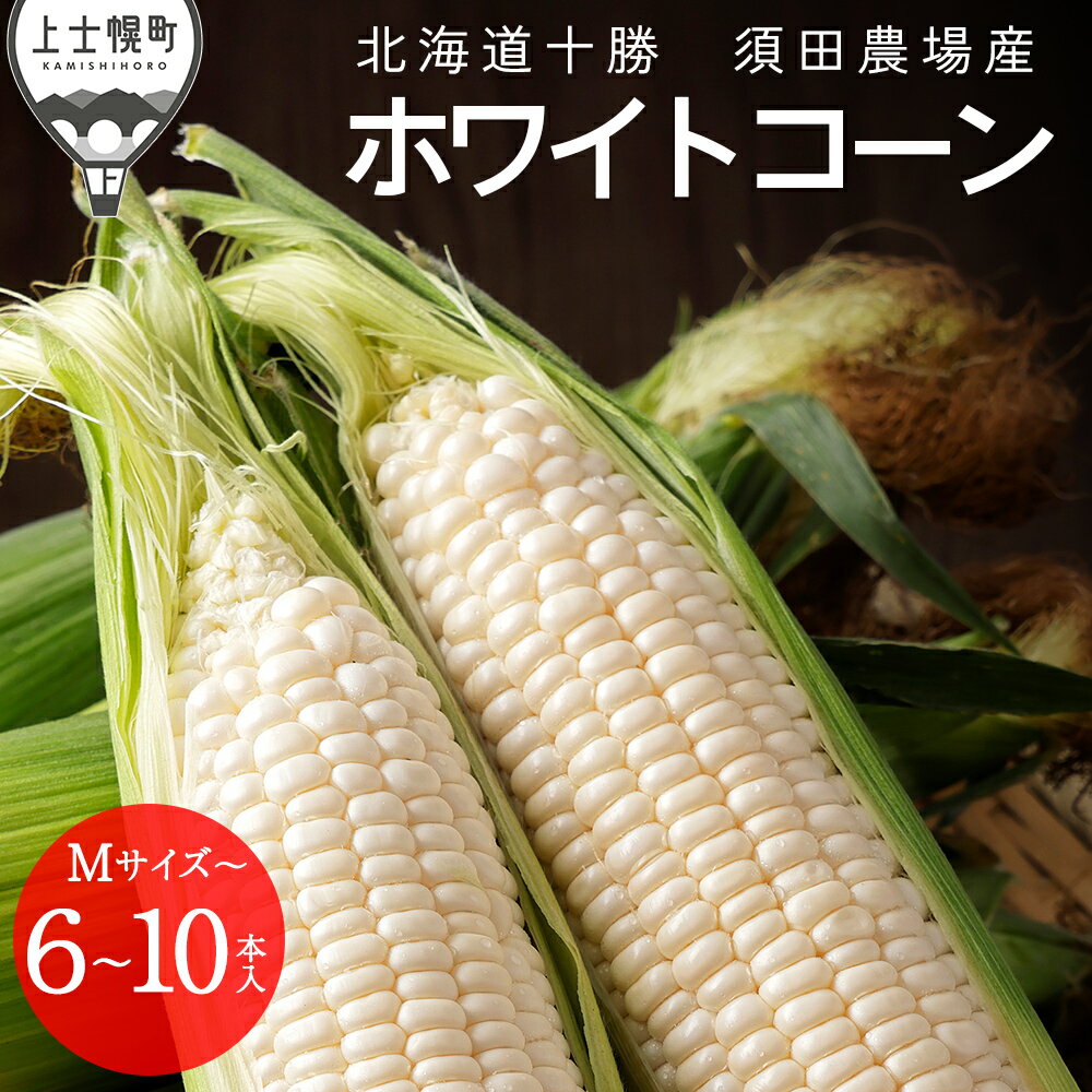 【ふるさと納税】2026年分 先行予約 北海道産 ホワイトコーン 6本 or 10本 北海道 上士幌町 須田農場 野菜 白い スイートコーン とうもろこし トウモロコシ 産地直送 冷蔵便 ◆2026年08月配送予定 レビューキャンペーン対象品 ※オンライン申請対応