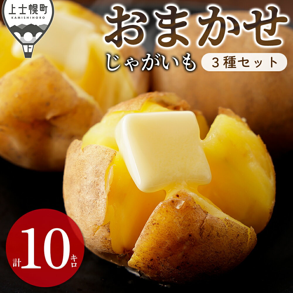 【ふるさと納税】2026年産 先行予約 北海道産 おまかせ じゃがいも 4種セット 計10kg（2.5kg×4種） 北海道 上士幌町 加藤農場 野菜 馬鈴薯 産地直送 ◆2026年12月配送予定 レビューキャンペーン対象品