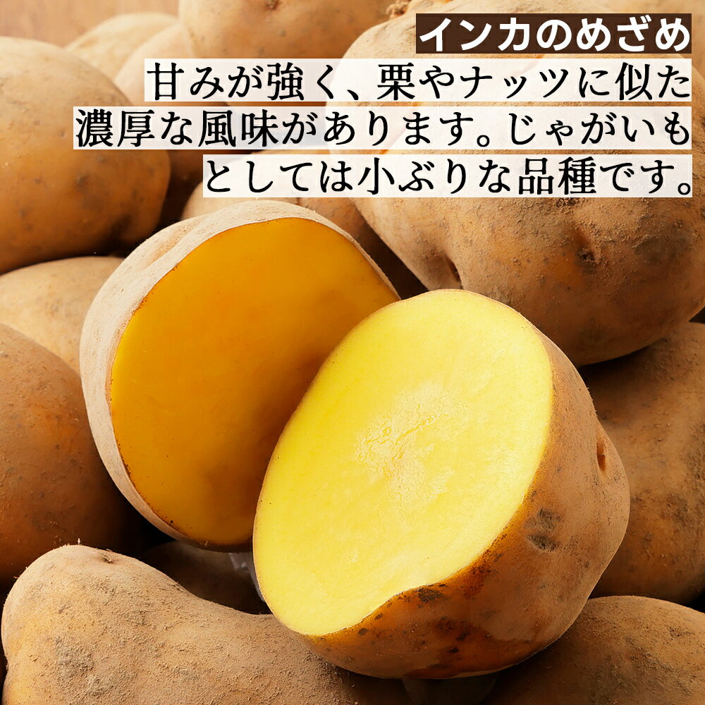 【ふるさと納税】北海道産 インカのめざめ その他3種のじゃがいもセット 10kg レビュー★4.5 北海道 上士幌町 加藤農場 野菜 インカの目覚め ジャガイモ 馬鈴薯 詰め合わせ 産地直送