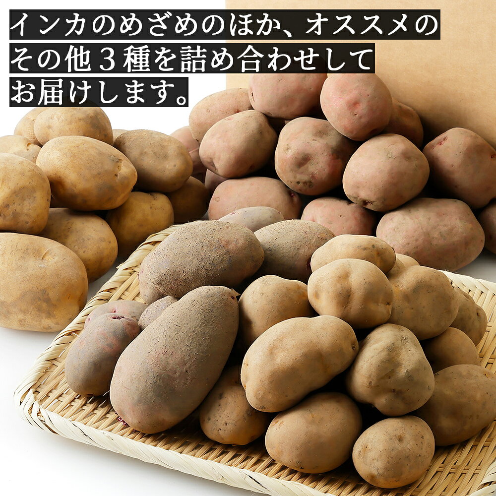 【ふるさと納税】北海道産 インカのめざめ その他3種のじゃがいもセット 10kg レビュー★4.5 北海道 上士幌町 加藤農場 野菜 インカの目覚め ジャガイモ 馬鈴薯 詰め合わせ 産地直送