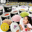 【ふるさと納税】ドリームドルチェ よくばり アイスクリーム セット 100ml×14個(14種) 北海道 スイーツ アイス 詰め合わせ ギフト 贈答用 レビュー...