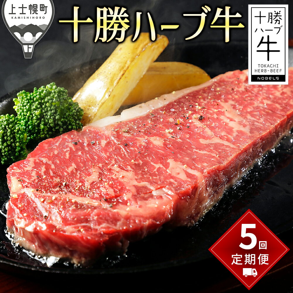 十勝ハーブ牛 定期便 5回 5ヵ月コース ステーキ コンビーフ 焼肉 ローストビーフ ホルモン 国産 北海道 牛 肉 牛肉 赤身 冷凍 レビューキャンペーン対象品