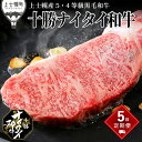 【ふるさと納税】十勝ナイタイ和牛 定期便 5ヵ月コース 計5回 北海道産 牛肉 5・4等級黒毛和牛 オレイン酸含有率55%以上 サーロイン ミスジ ステーキ モ...