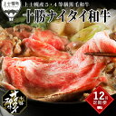 【ふるさと納税】十勝ナイタイ和牛 定期便 12回 1年満喫 12ヵ月コース 北海道 牛 肉 牛肉 和牛 5・4等級 黒毛和牛 オレイン酸含有率55%以上 焼肉 ...