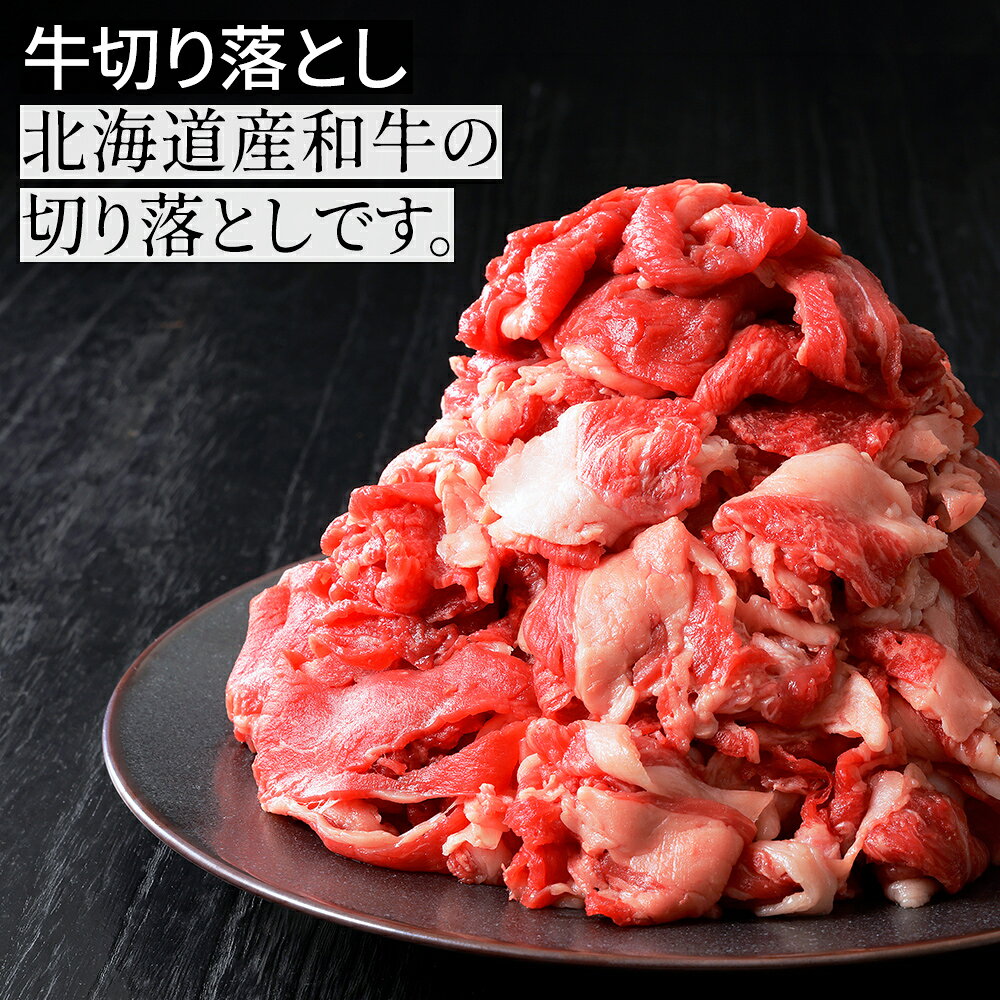 【ふるさと納税】ニークファクトリー 牛・豚・ハンバーグ2種のファミリーセット 約2.4kg 北海道 肉 牛肉 豚肉 冷凍ハンバーグ 詰め合わせ レビューキャンペーン対象品