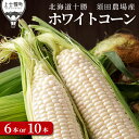 【ふるさと納税】北海道産ホワイトコーン 6本 or 10本 上士幌町須田農場 白いスイートコーン とうもろこし レビューキャンペーン対象品 ◆2025年08月配...