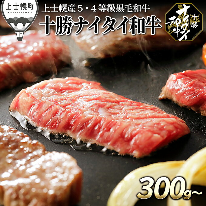 【ふるさと納税】発送時期が選べる（～2024年8月まで）　北海道　和牛肉　5・4等級　3タイプから選べる　モモ　バラ　肩ロース｜十勝ナイタイ和牛　焼肉　※オンライン申請対応のサムネイル