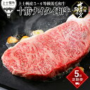 【ふるさと納税】十勝ナイタイ和牛 定期便 5ヵ月コース 計5回 北海道産 牛肉 5・4等級黒毛和牛 オレイン酸含有率55%以上 サーロイン ミスジ ステーキ モ...