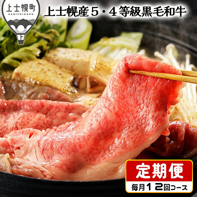 13位! 口コミ数「0件」評価「0」北海道　和牛肉　5・4等級　定期便　1年コース　サーロイン　ヒレ肉　焼肉　すき焼き　冷凍ハンバーグ｜十勝ナイタイ和牛定期便　12ヵ月コース　･･･ 