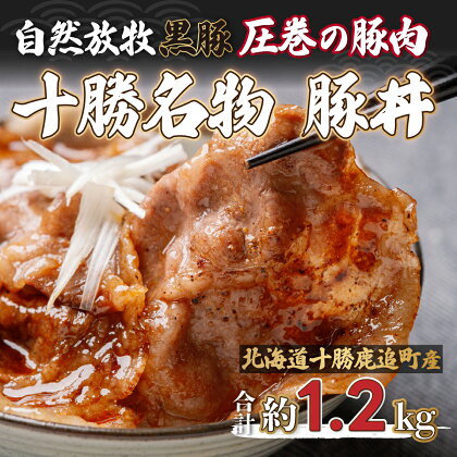 鹿追産 自然放牧黒豚 圧巻の豚肉 十勝名物 豚丼 【 ふるさと納税 人気 おすすめ ランキング 黒豚 豚 豚肉 黒豚肉 豚丼 黒豚丼 黒豚の豚丼 豚丼のタレ 黒豚肉丼 北海道 鹿追町 送料無料 】 SKN007