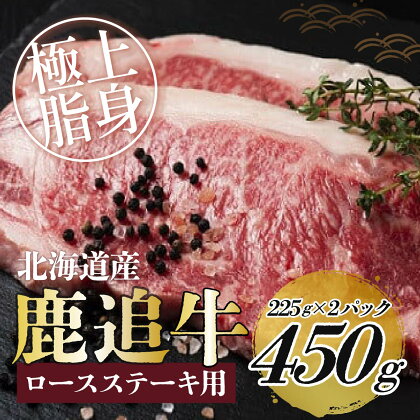 鹿追牛ロースステーキ（鹿追牛Dセット） 225g×2【 ふるさと納税 人気 おすすめ ランキング 肉 牛肉 牛ロース 牛ステーキ 牛ひき肉 牛サーロイン 肉 牛肉 牛ヒレ 牛すき焼き 北海道 鹿追町 送料無料 】 SKA008