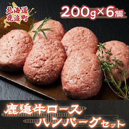 鹿追牛ハンバーグセット 200g×6個【 ふるさと納税 人気 おすすめ ランキング 肉 牛肉 牛ハンバーグ 牛モモ 牛ひき肉 牛サーロイン 肉 牛肉 牛ヒレ 牛すき焼き 北海道 鹿追町 送料無料 】 SKA007