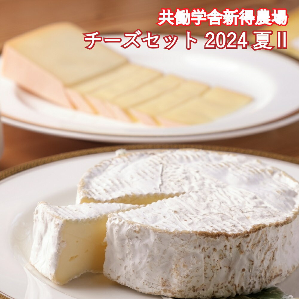 【ふるさと納税】共働学舎新得農場チーズセット 2024夏(2) 期間限定 数量限定 夏限定 毎週 北海道 新得町 共働学舎 十勝 チーズ ちーず 雪 ラクレット フロマージュブラン フロマージュフレ 手造り 手作り ワイン おつまみ【F-1301】のサムネイル