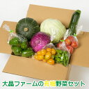 【ふるさと納税】大晶ファームの有機野菜セット(11月10日までの受付) 野菜 詰め合わせ ズッキーニ ナス ピーマン トマト キャベツ じゃがいも にんじん 大根 南瓜 小松菜 山東菜 北海道 新得町 送料無料 【Z-1302】 楽天スーパーSALE 9月開催