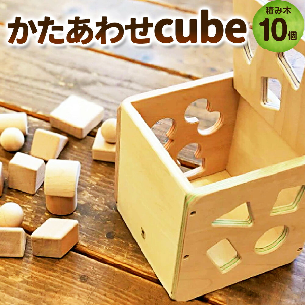 かたあわせcube おもちゃ 玩具 オモチャ 遊び道具 積み木 木製 子供用 お子様用 [X-2501]