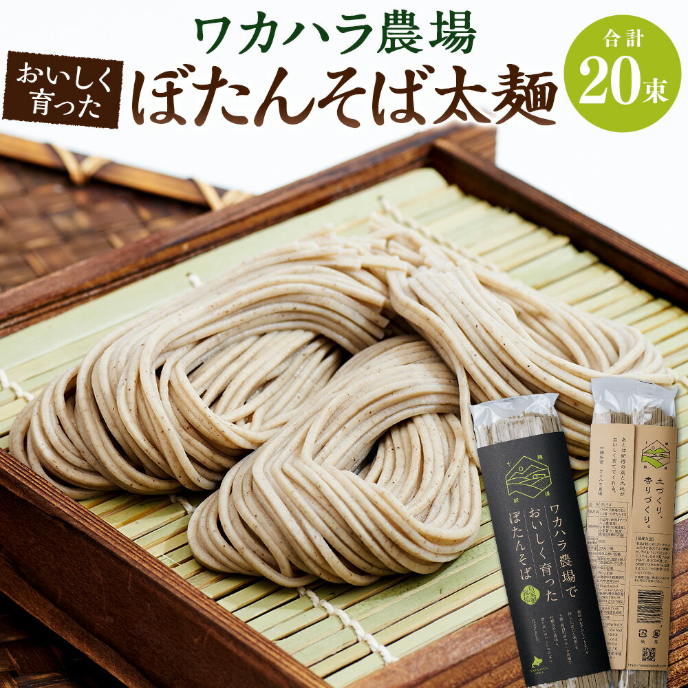 ワカハラ農場 おいしく育った ぼたんそば 太麺 20束 セット 詰め合わせ そば 蕎麦 ソバ 新得そば 乾麺 乾めん 麺類 麺 メン お取り寄せ グルメ 北海道 新得町 送料無料[L-5002]