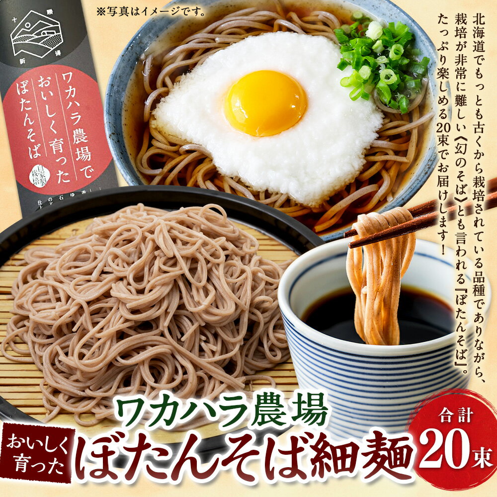 【ふるさと納税】ワカハラ農場 おいしく育った ぼたんそば 細麺 20束 セット 詰め合わせ そば 蕎麦 ソバ 乾麺 乾めん 麺類 麺 メン お取り寄せ グルメ 北海道 新得町 送料無料【L-5003】