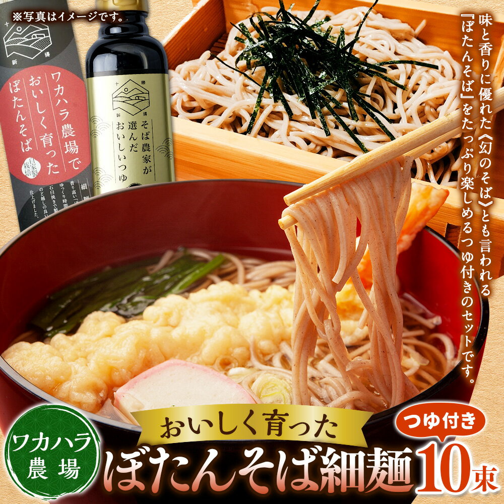 5位! 口コミ数「0件」評価「0」ワカハラ農場 おいしく育った ぼたんそば 細麺 10束 つゆ 4本 セット 詰め合わせ そば 蕎麦 ソバ 新得そば つゆ付 乾麺 乾めん 麺･･･ 