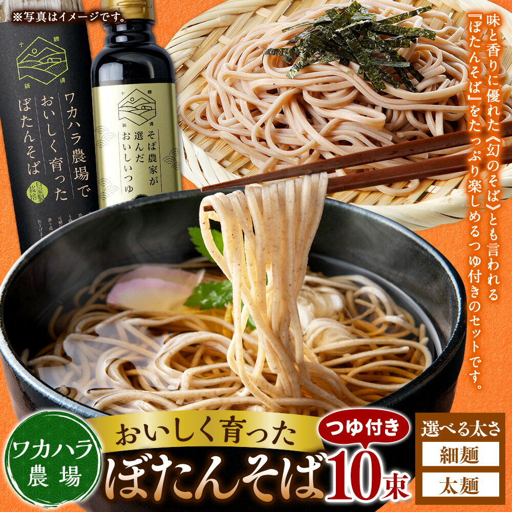 【ふるさと納税】ワカハラ農場 おいしく育った ぼたんそば 〈選べる太さ〉細麺 or 太麺 10束 つゆ 4本 セット 詰め合わせ そば 蕎麦 ソバ つゆ付 乾麺 乾めん 麺類 麺 メン お取り寄せ グルメ 北海道 新得町 送料無料【L-3502】