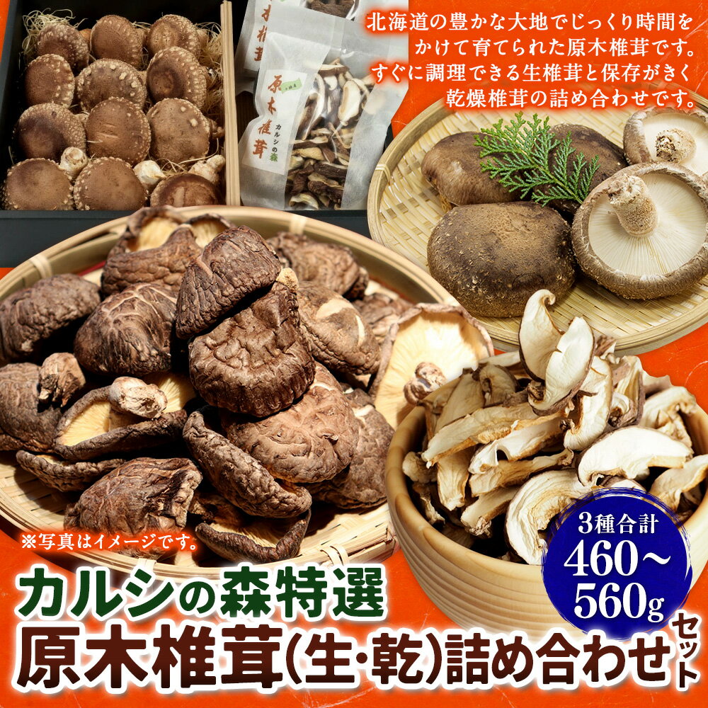 【ふるさと納税】カルシの森特選 原木椎茸（生・乾）詰め合わせセット 椎茸 しいたけ シイタケ 生椎茸 乾燥椎茸 【Y-1302】